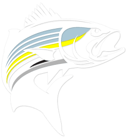 Cape Cod Fishing Charter Boat - striped bass artwork